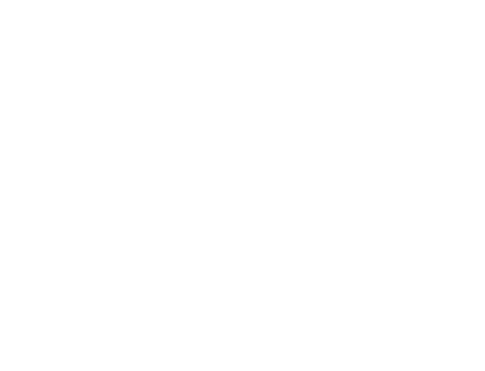 Rectangle-11.png